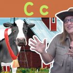 ed 3 thumb celine