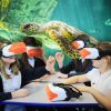 Virtual Reality Learning