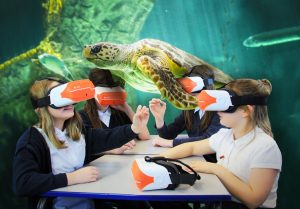 Virtual Reality Learning
