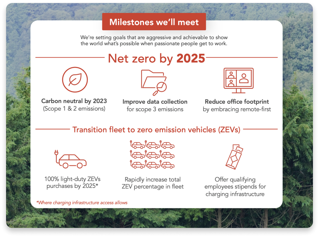 Carbon consulting netzero