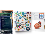 VR Curriculum